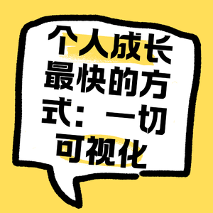 No.42 个人成长最快的方式：一切都可视化。