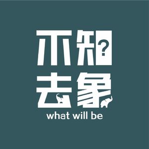 不知去象
