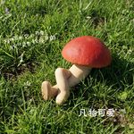 KylinLiu
