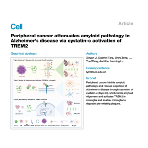541-Cancer-Derived Cystatin-C Attenuates Alzheimer’s Disease