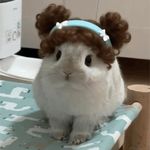 miiimo_O27