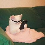轻听