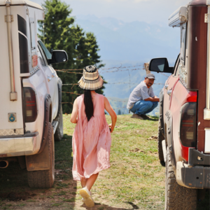 亲子家庭与走马旅行团，我们的目标客群画像