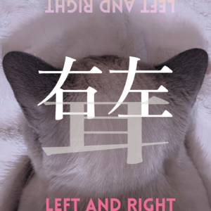 Vol.01｜从《疯狂动物城2》到《罗小黑战记2》：我们需要什么样的女性角色？