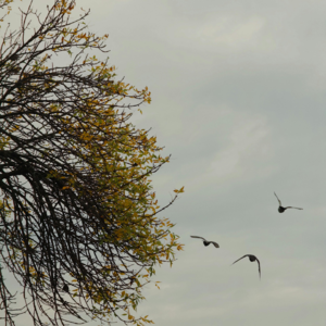 " 好好开始 好好爱自己 "