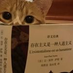 迷影不死