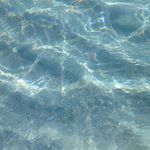 阿管的疗愈实验室