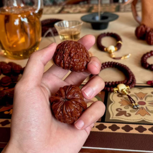 vol.036 🎄👴💡你是“老登”了吗？“登味”自测指南让你无所遁形！🎄👴💡