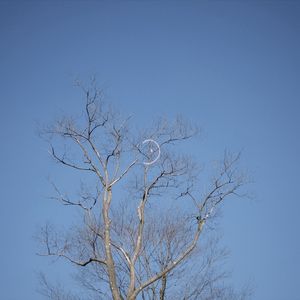 Ep017:下山的路——衰老、照护和死亡