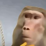 泪晕开了留白