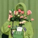 盖蕉饭