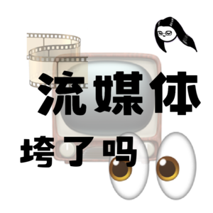 爱优腾芒的美国亲戚 只知道网飞你就out了｜流媒体知识大放送