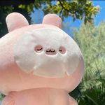 一口气吃八个鲜花饼