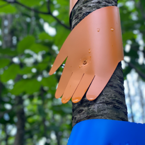 番外 | 大理边角料：近期文娱生活指南，也指东西北中。