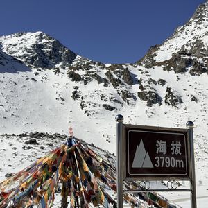 EP004 | 祁连山&青海湖自然生态系列夏令营