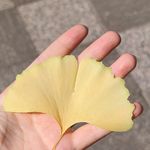 时丁韩
