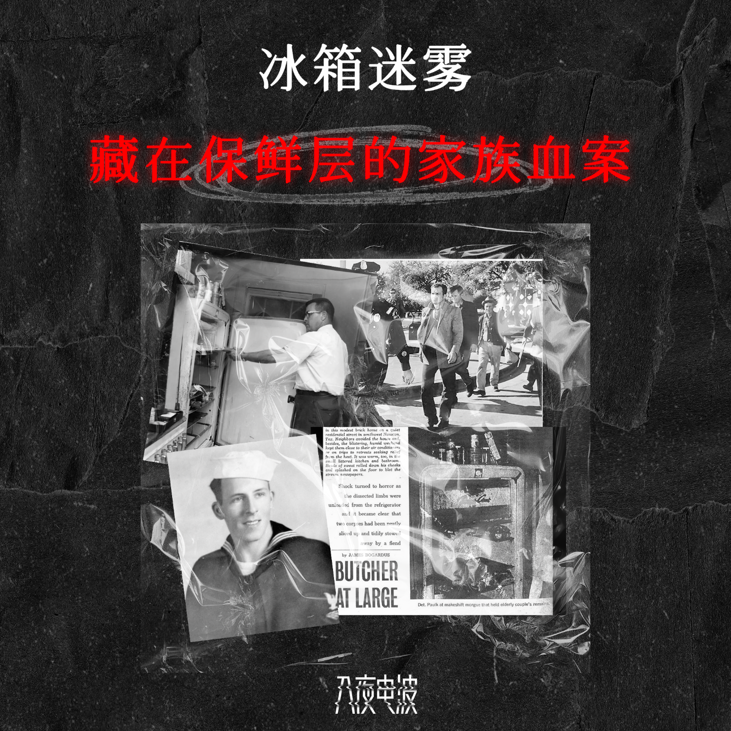 017.冰箱迷雾，藏在保鲜层中的家族血案 episode artwork