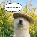 1111_bxF4