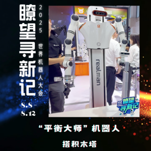 第315集 “平衡大师”机器人，搭积木塔