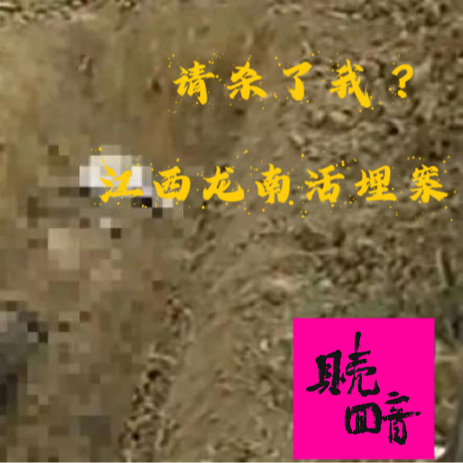 EP31.请杀了我-江西龙南活埋案 episode artwork