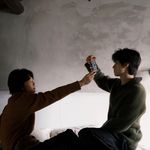 刺槐春頔