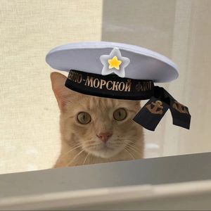 向社会主义过渡