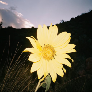 EP016 2025年中总结｜毕业季，我们想要，我们得到