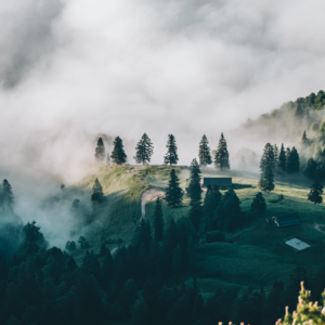 EP51 机器学习选股MALTA模型