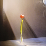 论我们的奇葩父辈们 感谢他们身后的伟大女性 我们的母亲 节日快乐