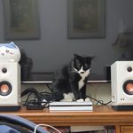 海吉猫