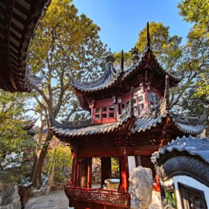 178 上海名园 豫园4