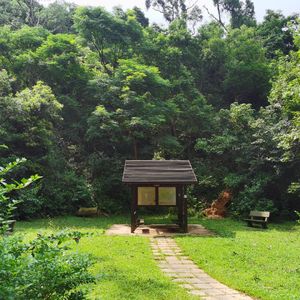 自言自语散步去