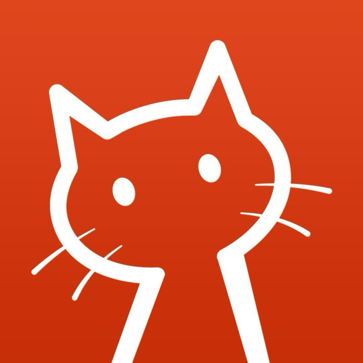猫不在