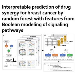 1139-Interpretable Drug Synergy Prediction