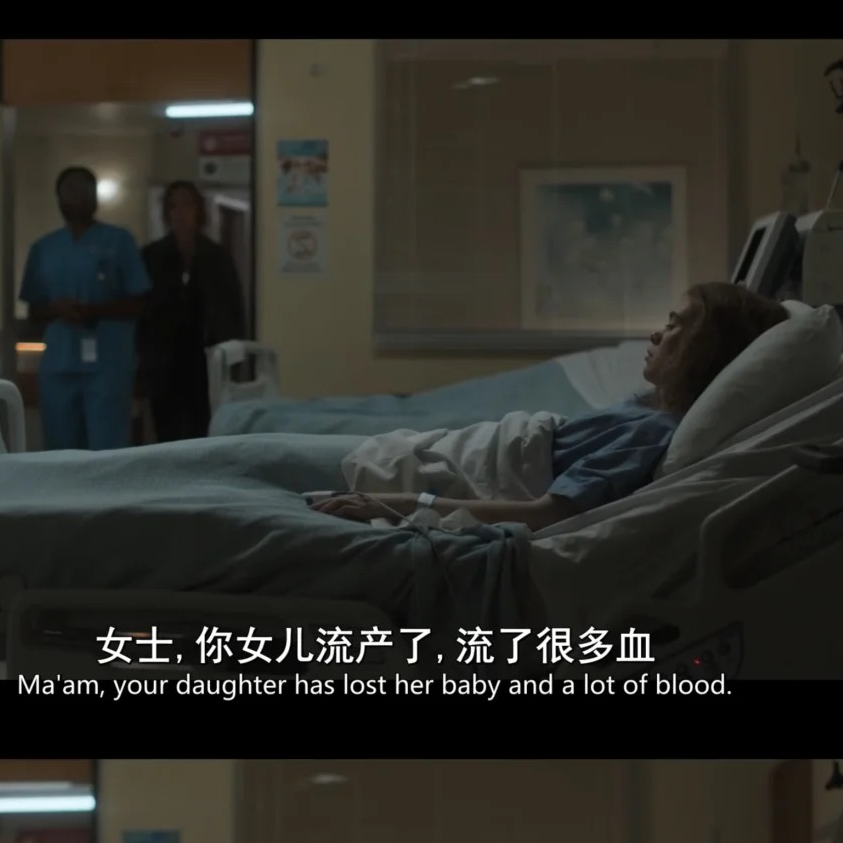 020:Lost in translation,从《都是她的错》到《疯狂动物城》,当字幕开始撒谎 episode artwork