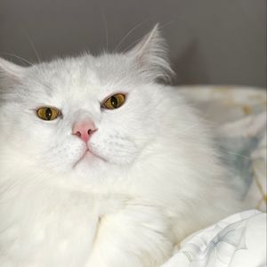 期货周度复盘2026-04-10