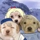 超级无敌旋风战神黑化版