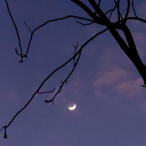 血糖29-心理居然能控制血糖