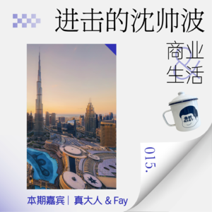 Vol.15 出海中东的避坑指南,一定要抛开富贵滤镜!