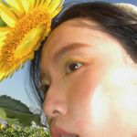 蕙鹅