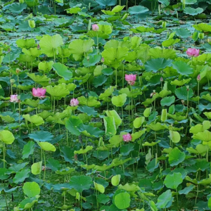 2025年上半年，个人读书总结