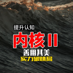 内核Ⅱ 善用其美 实力破情局
