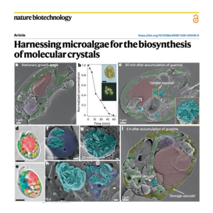 756-微藻生物合成分子晶体及其应用研究