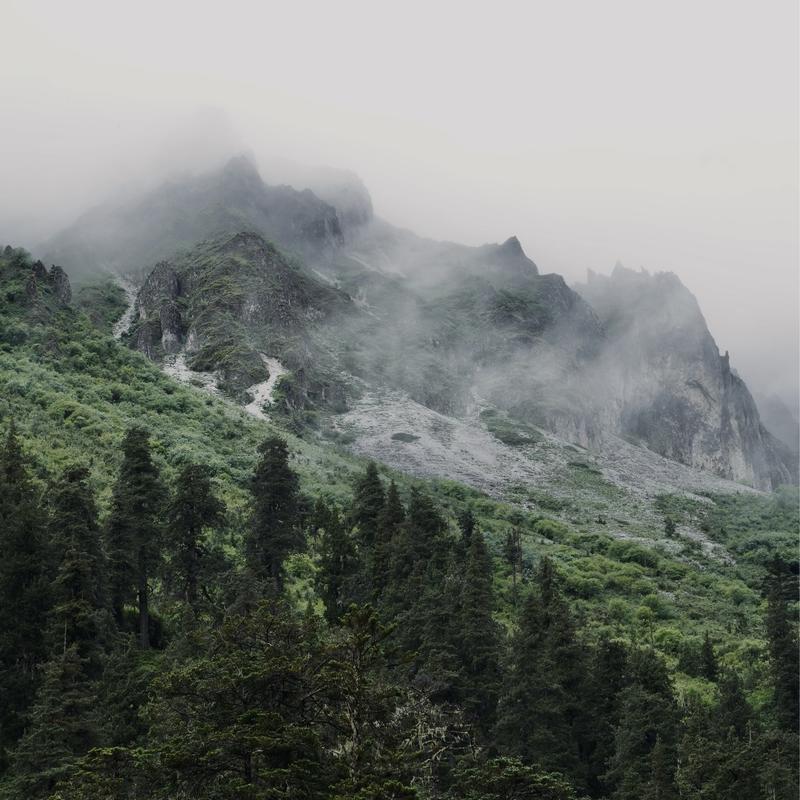 灰灰-
