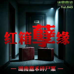 Vol.045 | 红箱孽缘：湖南嘉禾碎尸案