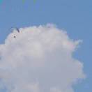 耶路撒冷遇上喵