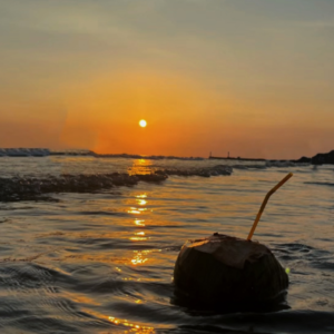 NO.16 阵阵海风和打翻的香甜椰子水