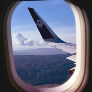 EP.4 在新西兰职场打拼 - 一位母亲的移民故事（下）