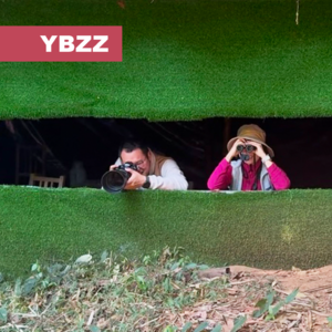 012-当拍鸟大爷遇上观鸟小妹-一本正经