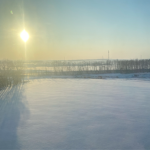 025《康熙来了》：只要有人在看，就还没有结束。